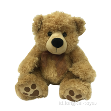 Plush Teddy Bear Brown